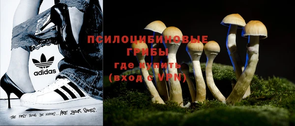 спиды Волоколамск